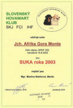 Afrika - Suka roka 2003