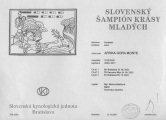 Afrika - Slovenská šampiónka krásy mladých