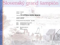 Slovensk grand ampin
