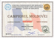 ampin Moldavska