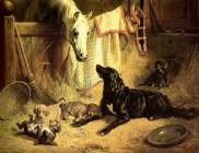 Obraz "Psia rodinka so starm koom" od Benno Adama z roku 1869