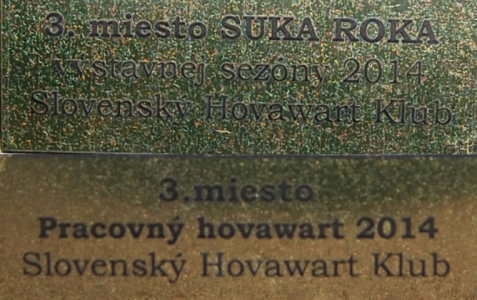 Pracovný hovawart 2014 a Suka roka 2014