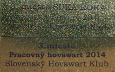 Pracovn hovawart 2014 a Suka roka 2014