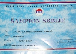 ampin Srbska