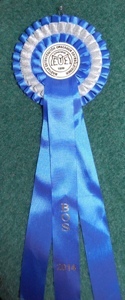MVP Komárom - V1, CAC, CACIB, BOS - jún 2014