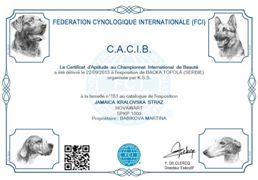 CACIB - Srbsko - Baka Topola - 09/2013